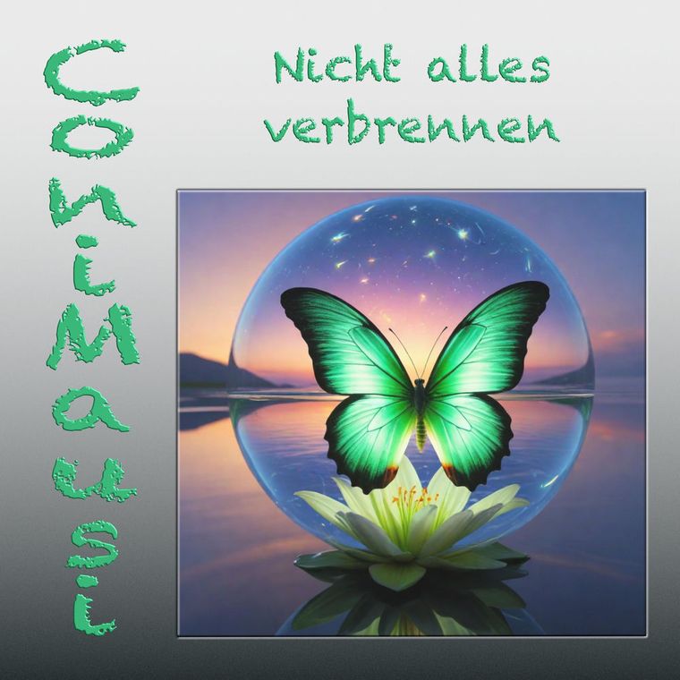 Cover: Nicht alles verbrennen