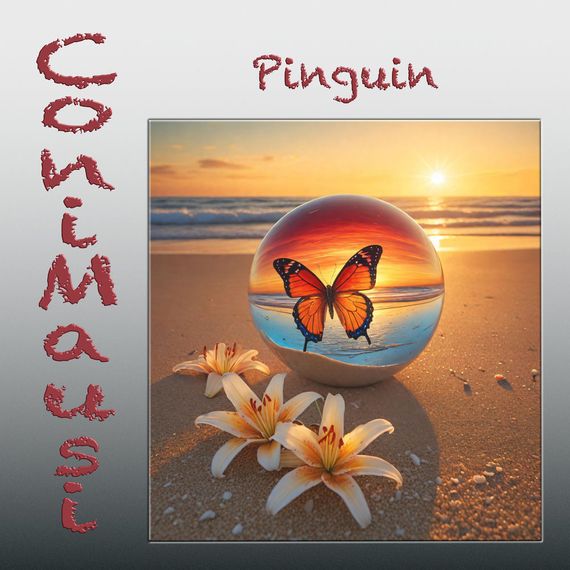 Cover: Pinguin
