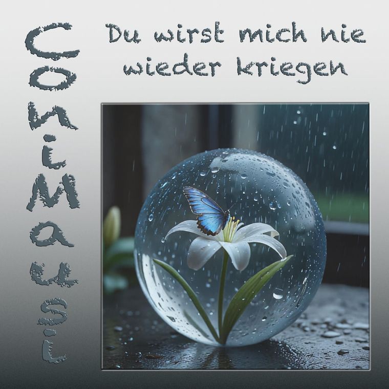 Cover: Du wirst mich nie wieder kriegen