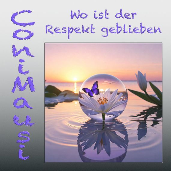 Cover: Wo ist der Respekt geblieben