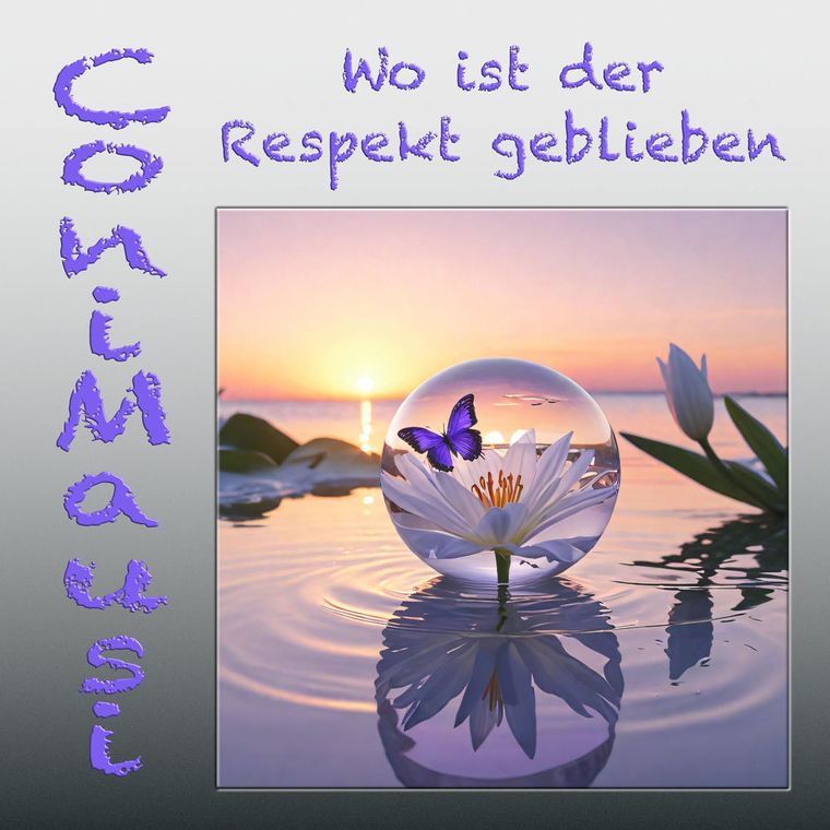 Cover: Wo ist der Respekt geblieben