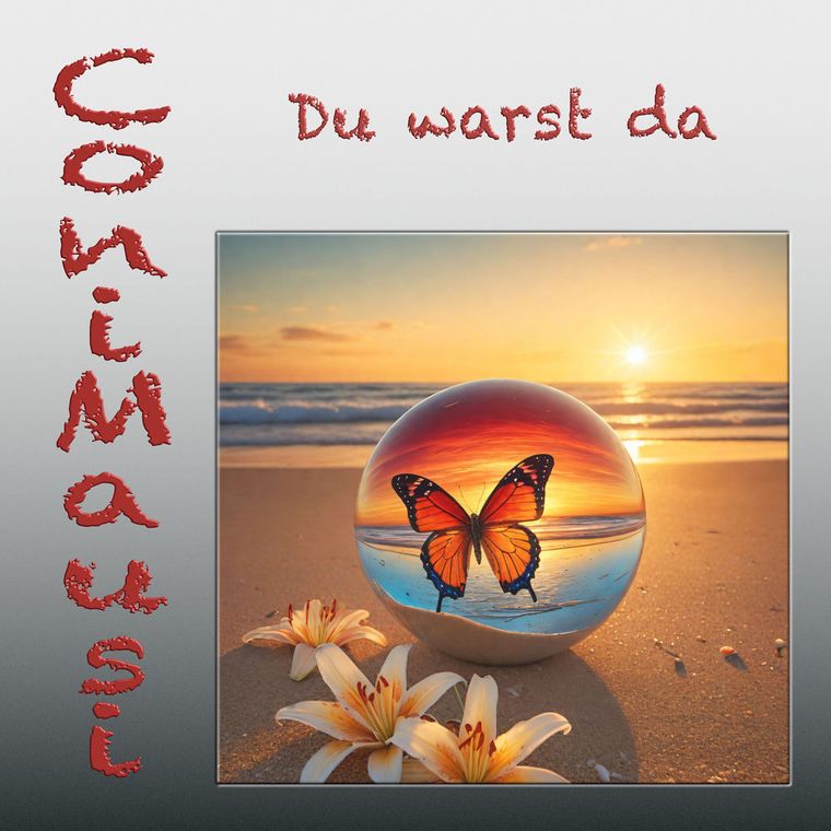 Cover: Du warst da