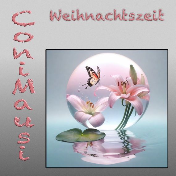 Cover: Weihnachtszeit